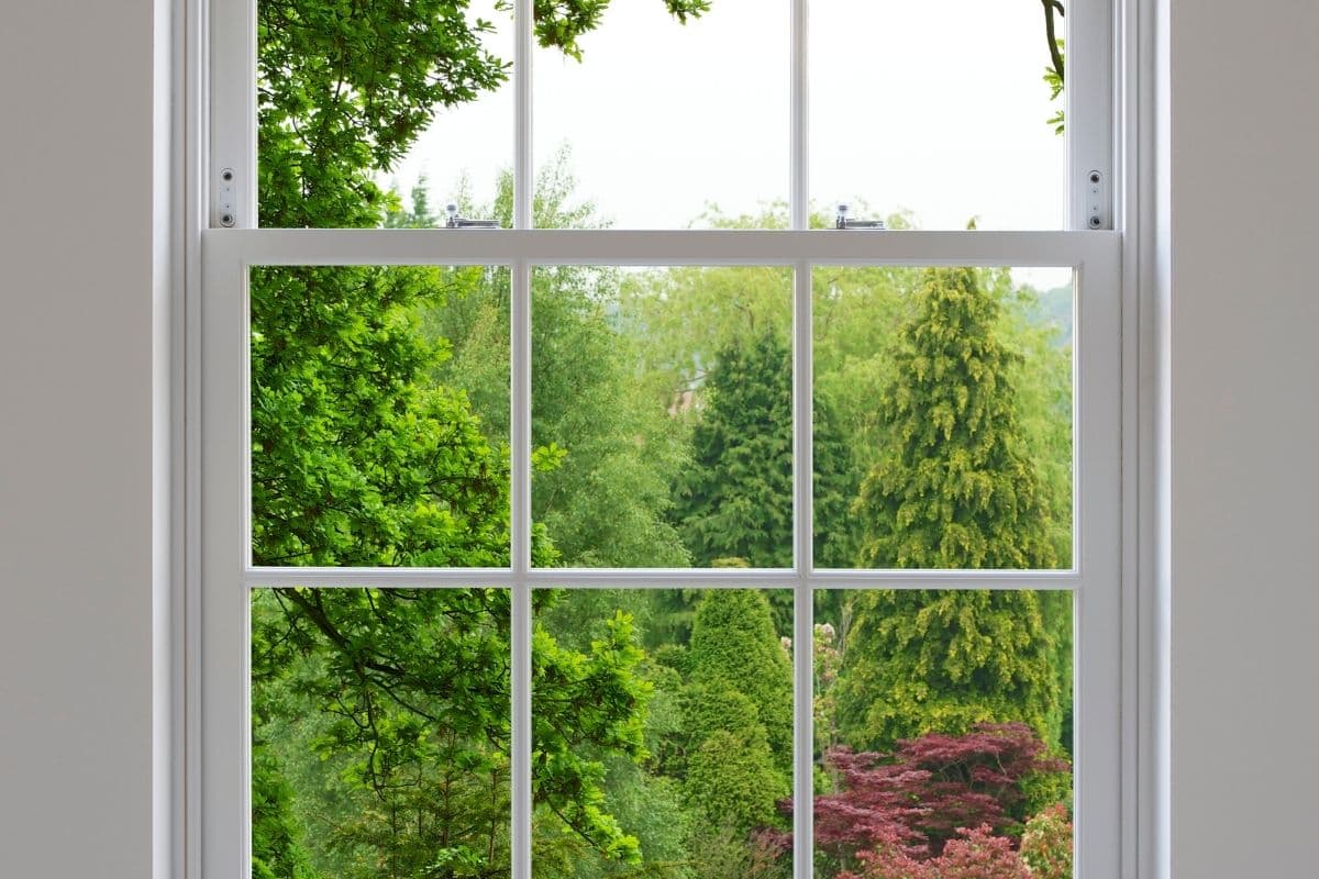 White double-hung window with colonial grilles viewed from inside, looking out onto a mature garden